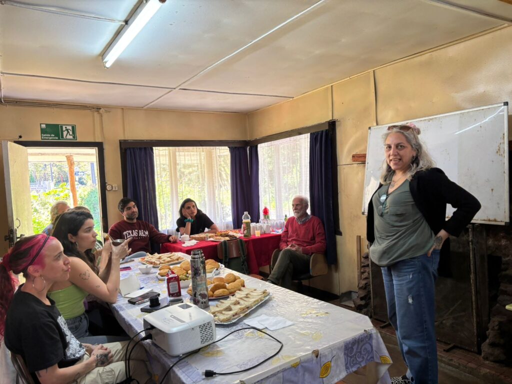 Monitoreo ciudadano ACMU Pitipalena- Añihué